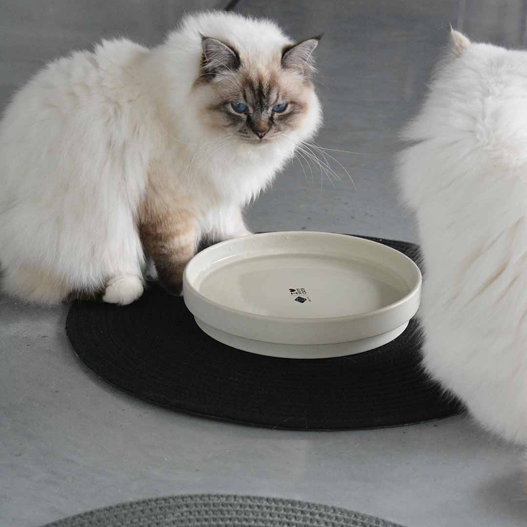 JILL - Placemat