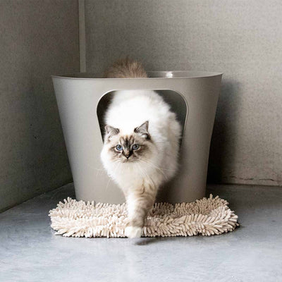 Kattenbakset Dean